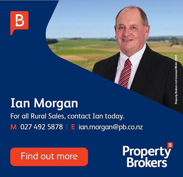 Ian Morgan Property Brokers - Walton School
